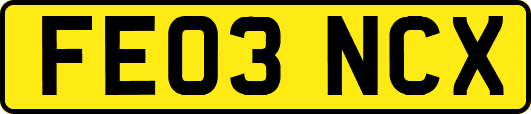 FE03NCX