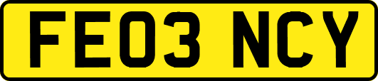 FE03NCY