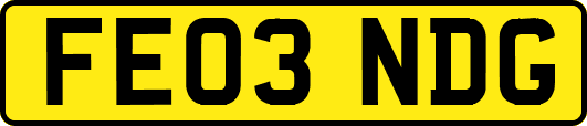 FE03NDG