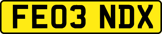 FE03NDX