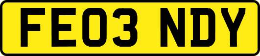 FE03NDY