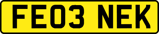 FE03NEK