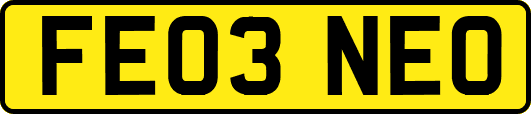 FE03NEO