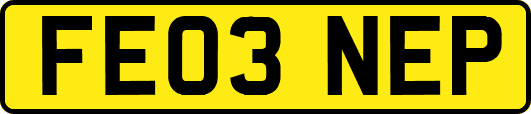 FE03NEP