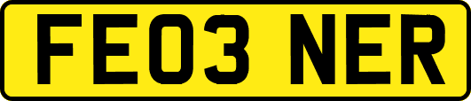 FE03NER
