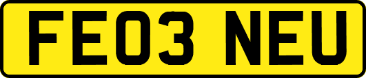 FE03NEU