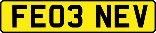 FE03NEV