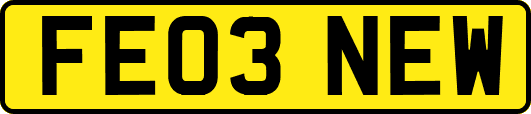 FE03NEW
