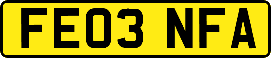 FE03NFA