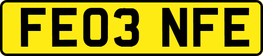FE03NFE