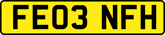 FE03NFH