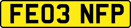 FE03NFP