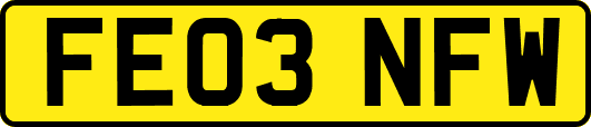FE03NFW