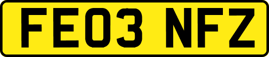 FE03NFZ