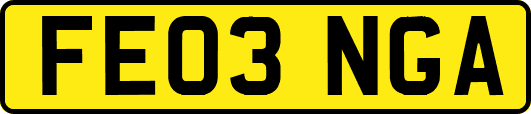 FE03NGA