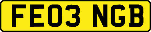 FE03NGB