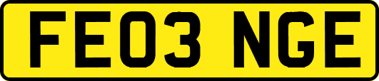 FE03NGE