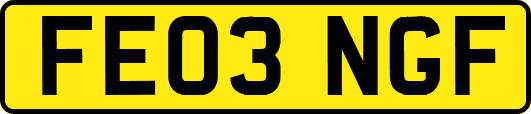 FE03NGF