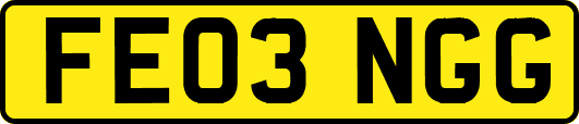 FE03NGG