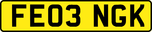 FE03NGK