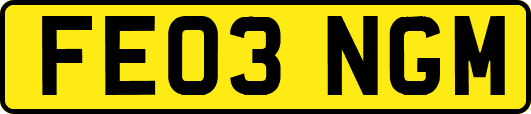 FE03NGM