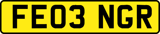 FE03NGR