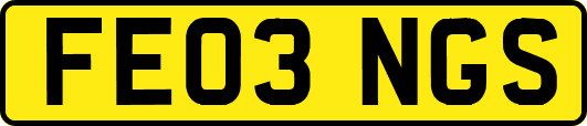FE03NGS