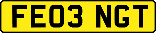 FE03NGT