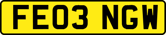 FE03NGW