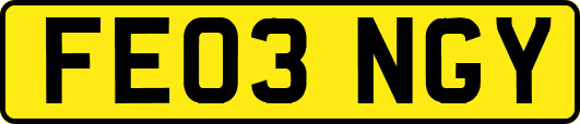 FE03NGY