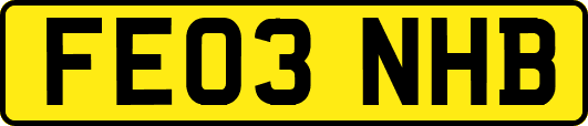 FE03NHB