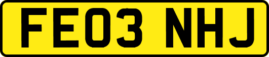 FE03NHJ