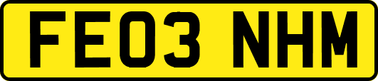 FE03NHM