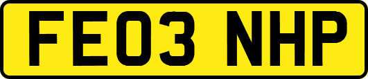 FE03NHP