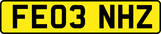 FE03NHZ
