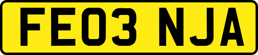 FE03NJA
