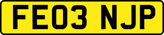 FE03NJP