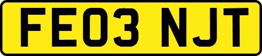FE03NJT