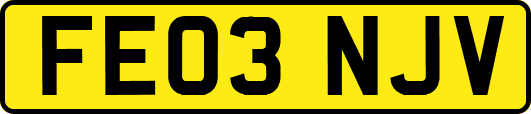 FE03NJV
