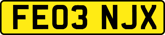 FE03NJX