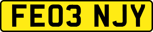 FE03NJY