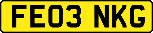 FE03NKG