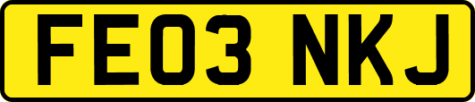 FE03NKJ