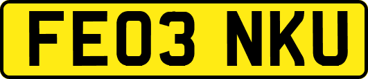 FE03NKU