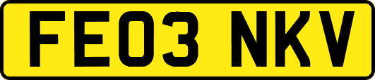 FE03NKV