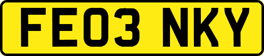 FE03NKY