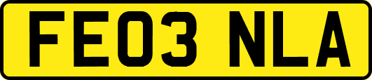 FE03NLA