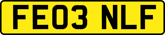 FE03NLF