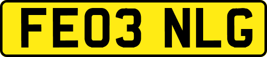 FE03NLG