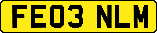 FE03NLM
